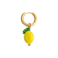Citrus Bliss Earring