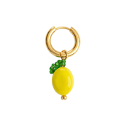 Citrus Bliss Earring