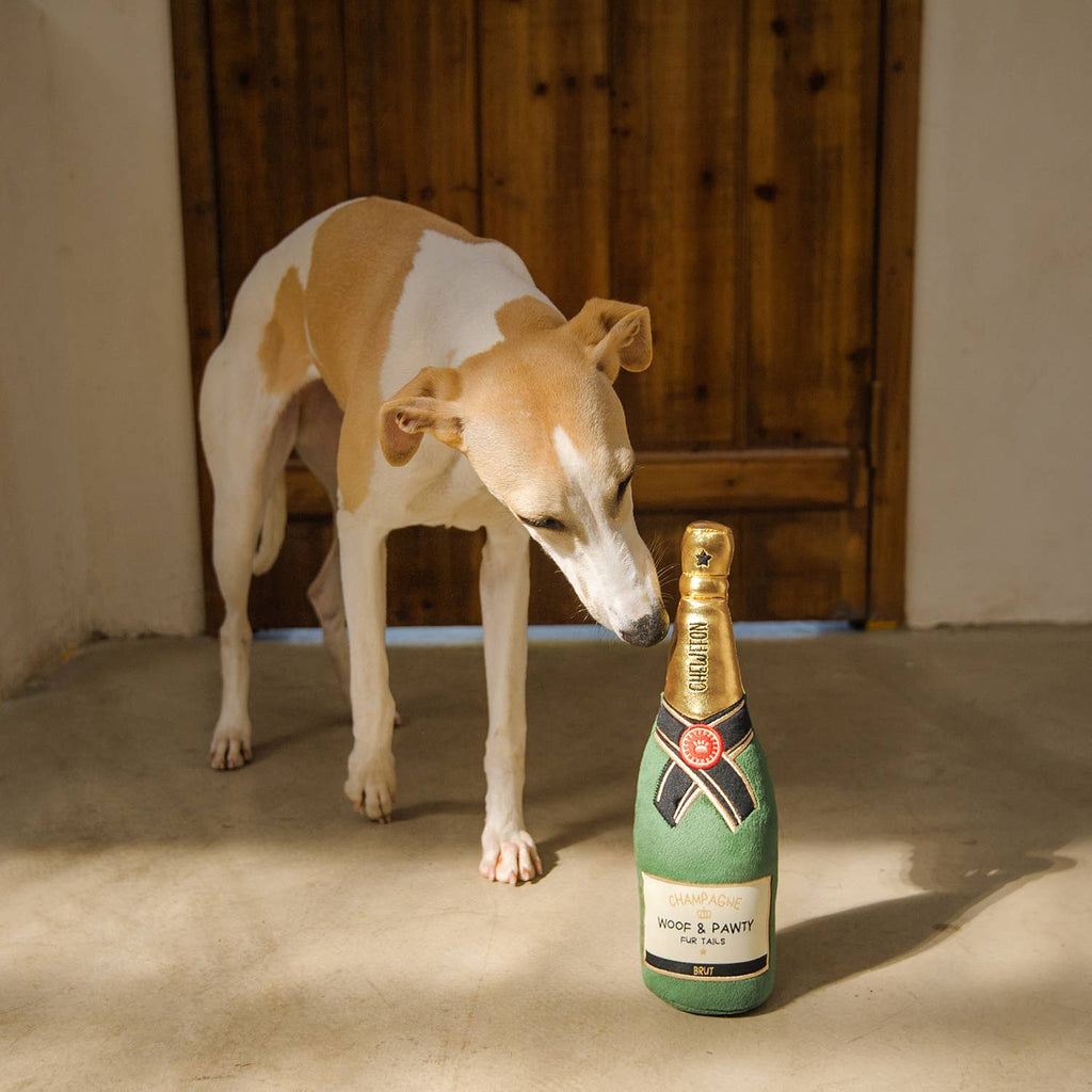 Champagnefles - Dogtoy