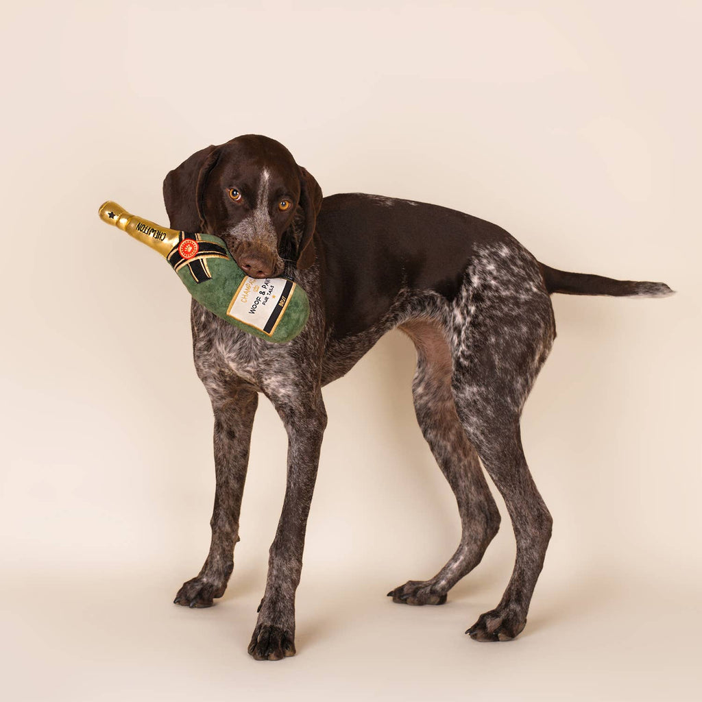 Champagnefles - Dogtoy