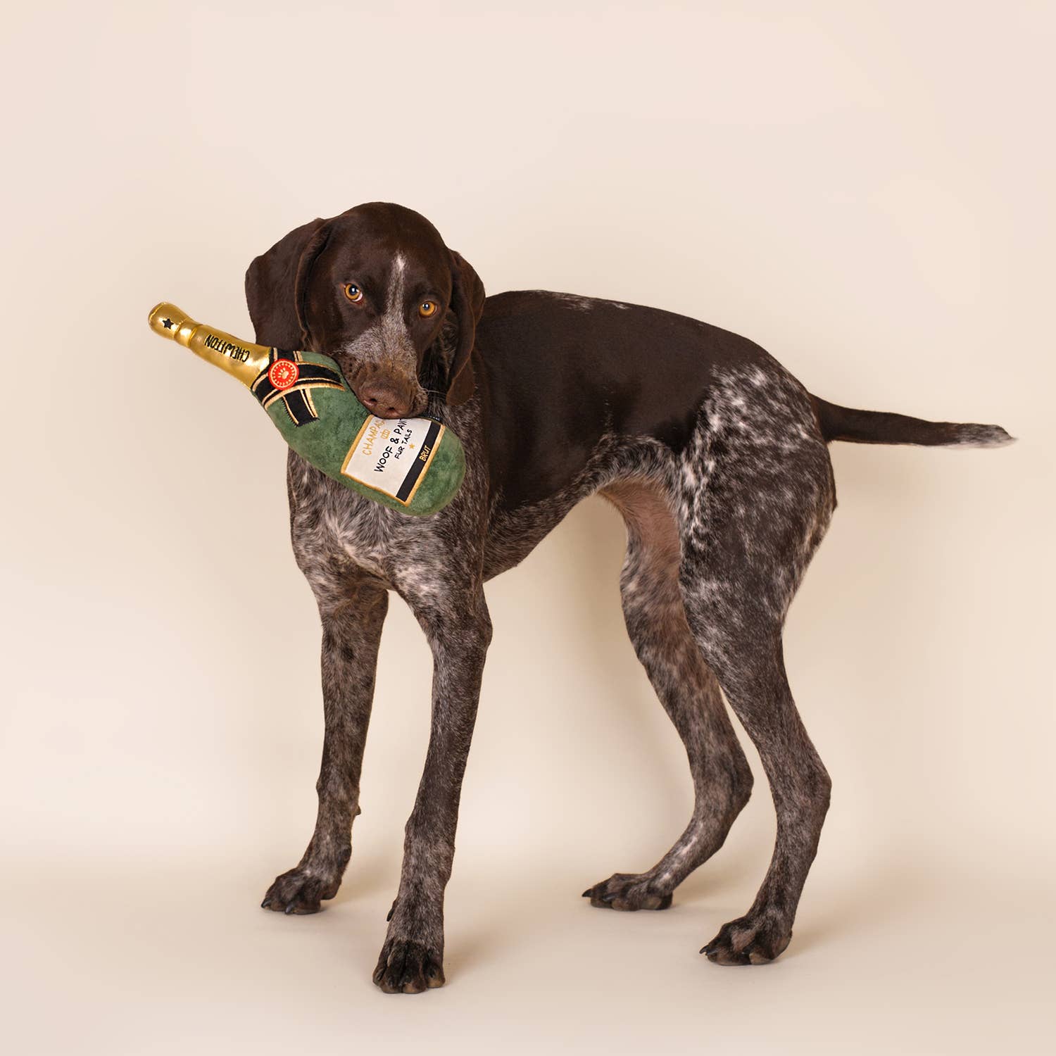 Champagnefles - Dogtoy