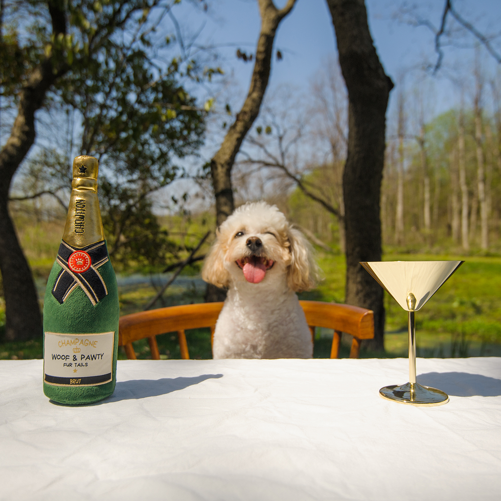 Champagnefles - Dogtoy