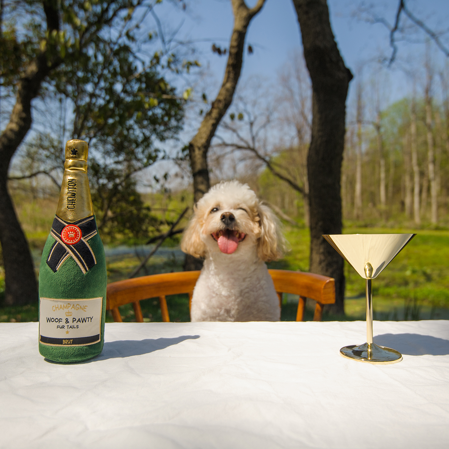 Champagnefles - Dogtoy