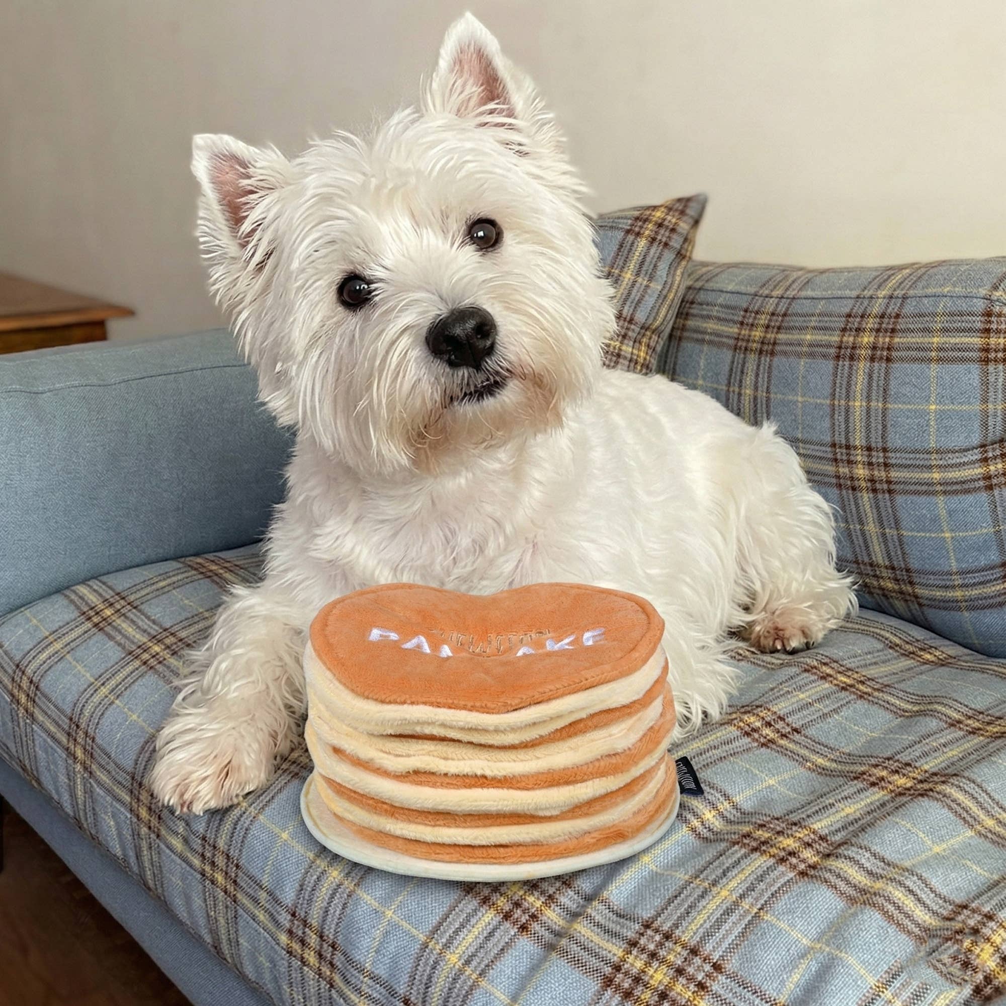 Pancake - Dogtoy