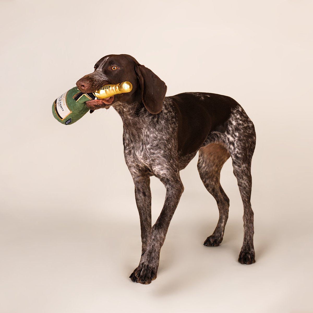 Champagnefles - Dogtoy