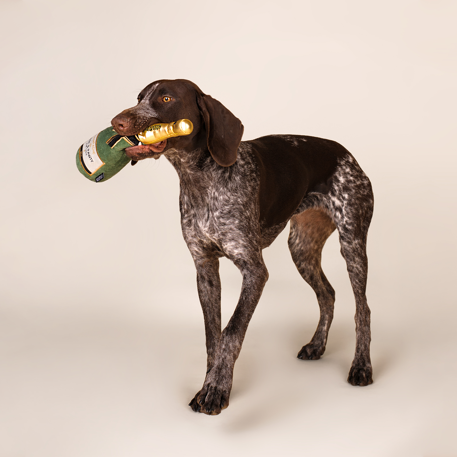 Champagnefles - Dogtoy
