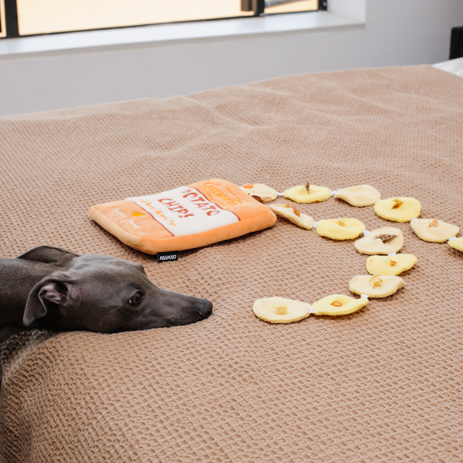 Potato chips - Dogtoy