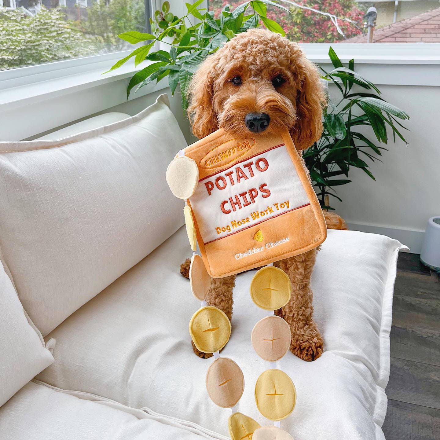 Potato chips - Dogtoy