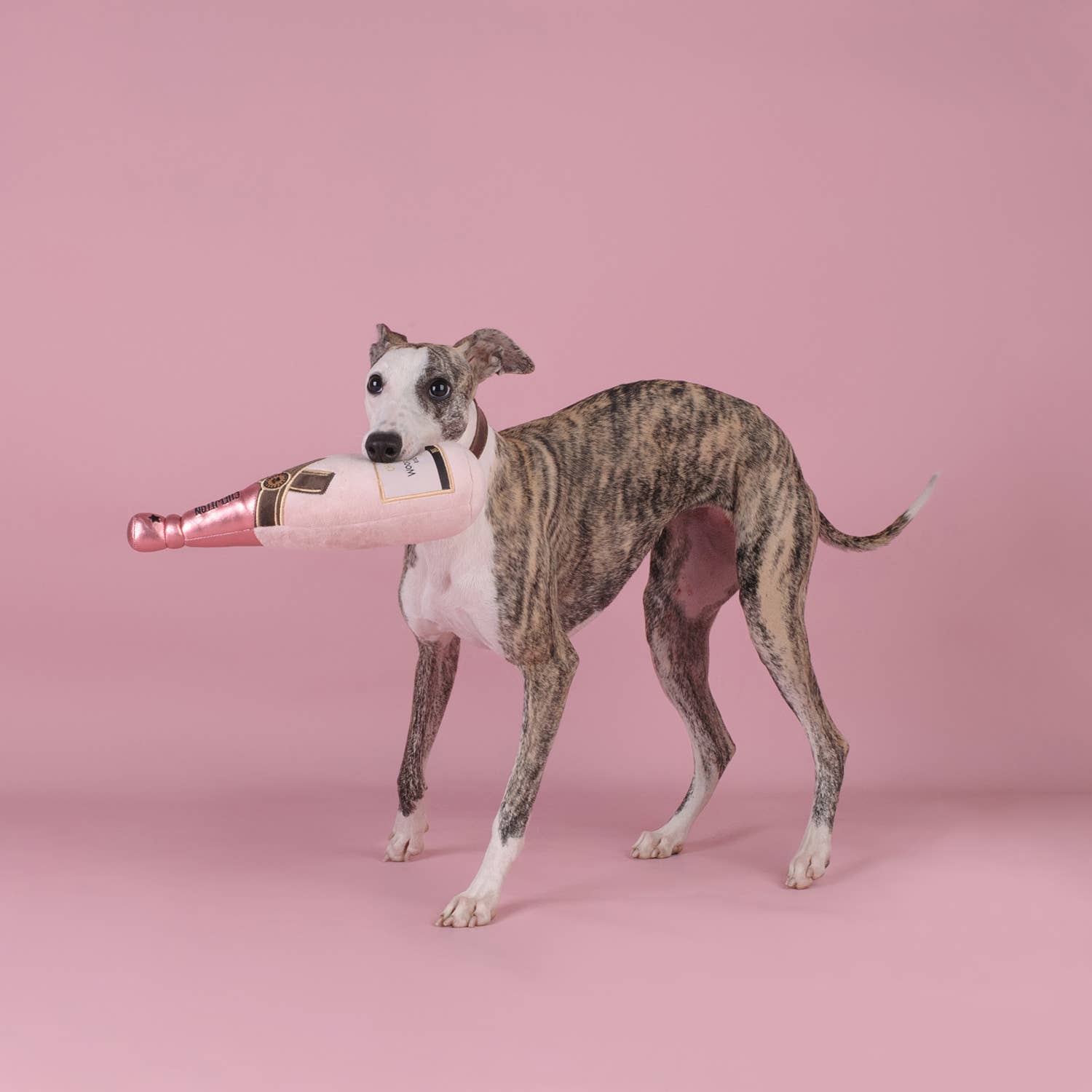 Roze champagnefles - Dogtoy
