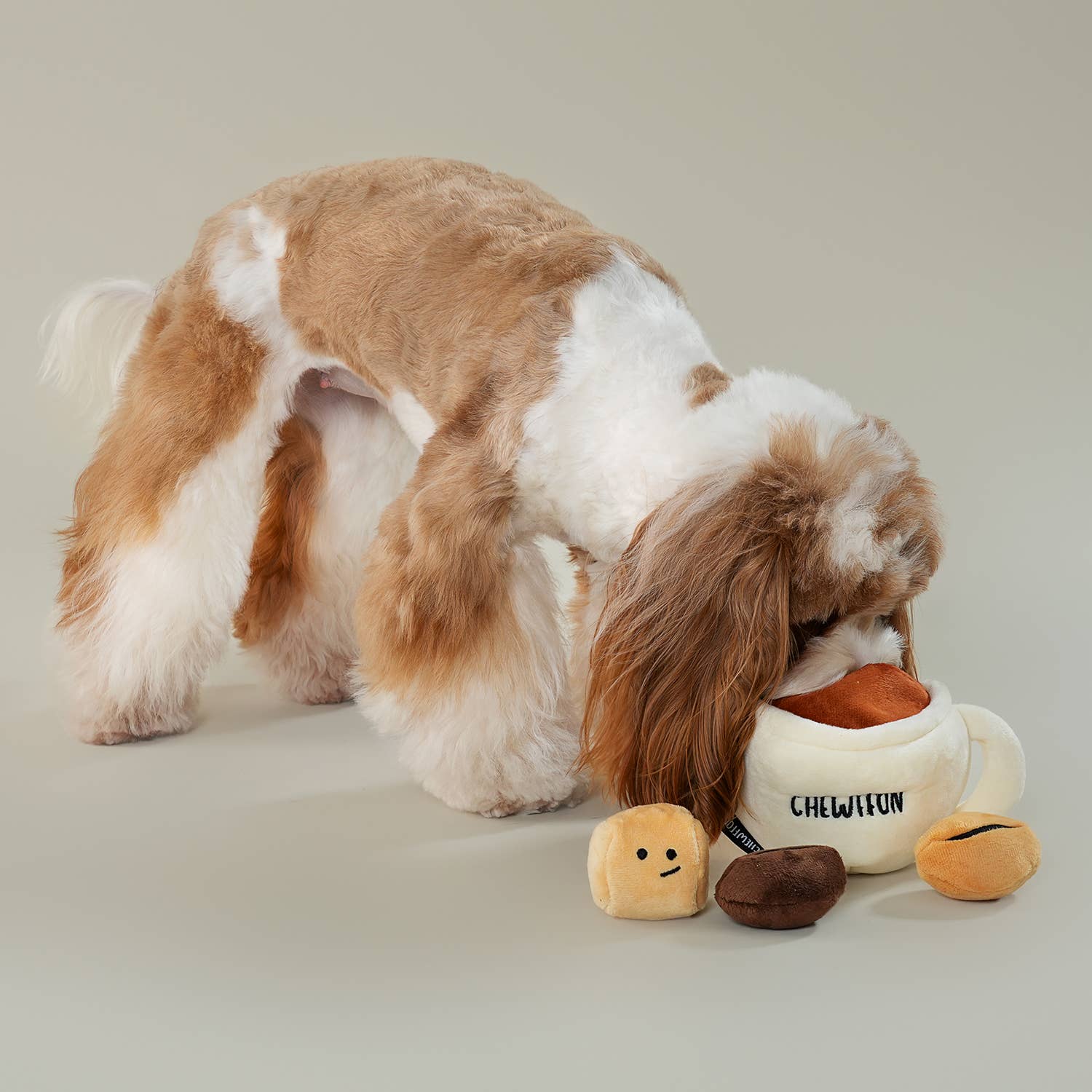 Espresso - Dogtoy