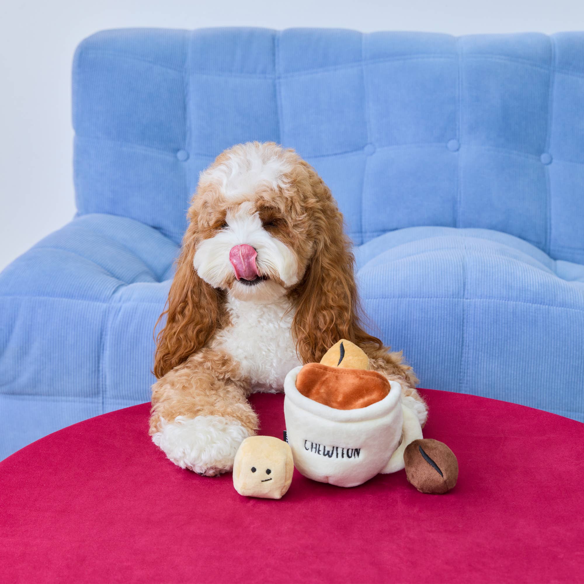Espresso - Dogtoy