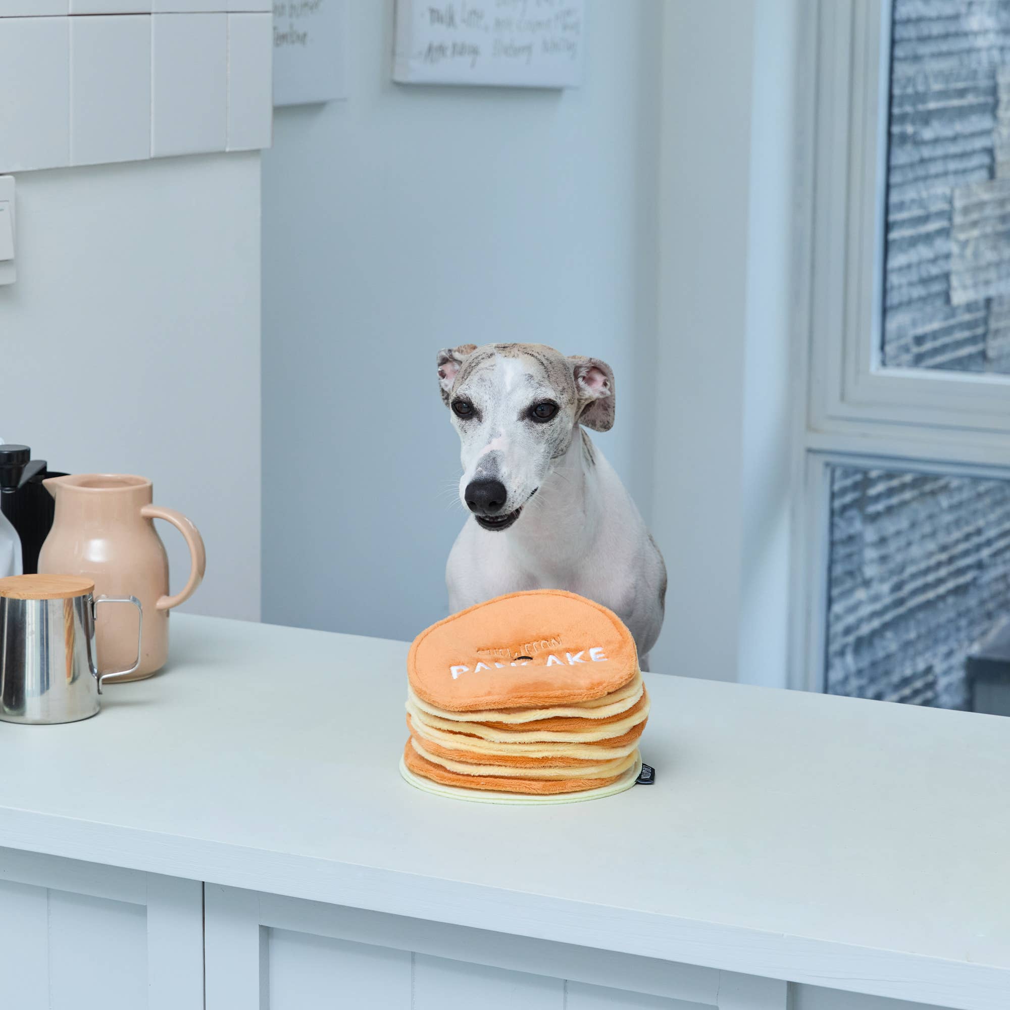 Pancake - Dogtoy